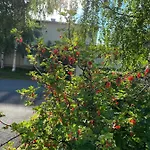 Meri-toppila Apartment Oulu